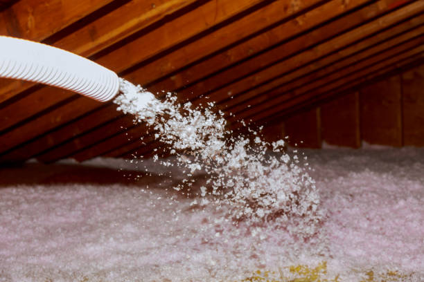 Best Eco-Friendly Insulation in Ellport, PA