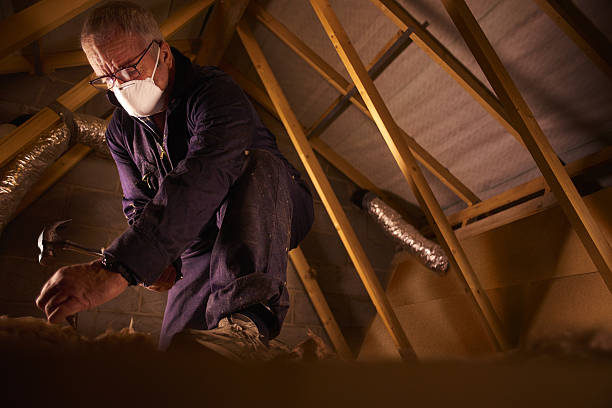 Types of Insulation We Offer in Ellport, PA
